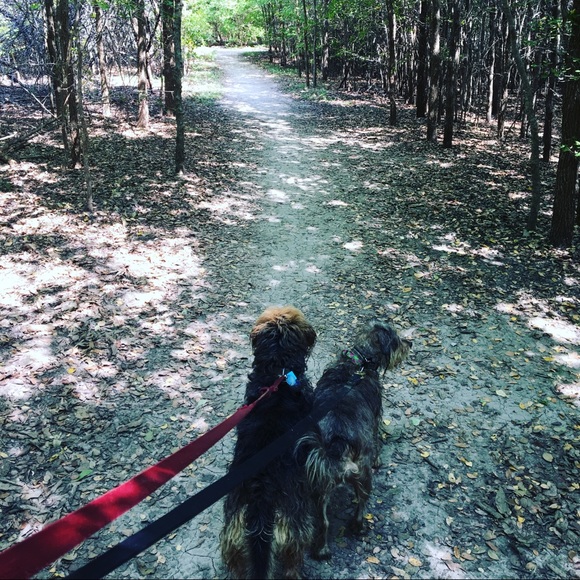 Meet your Posher, Courtney - Picture 2 of 8